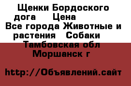 Щенки Бордоского дога.  › Цена ­ 30 000 - Все города Животные и растения » Собаки   . Тамбовская обл.,Моршанск г.